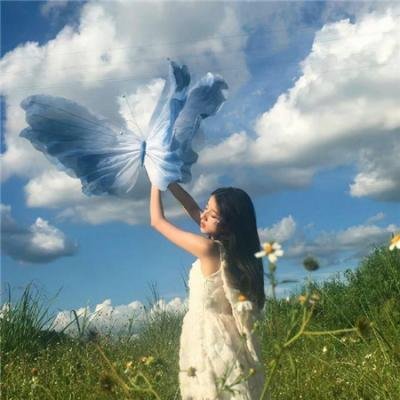 尼姆的实验