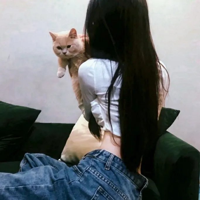 铁证悬案第六季